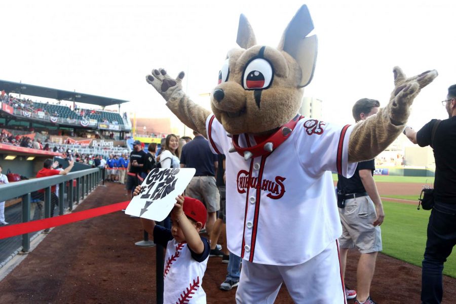 El Paso Chihuahuas hosting online virtual opening day – The Prospector