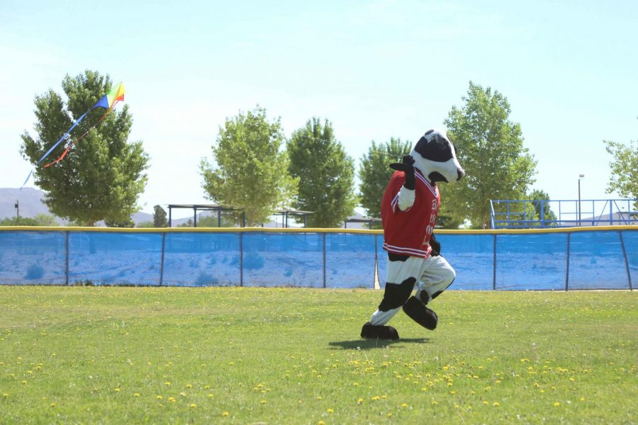 The Chick-Fil-A mascot tries to fly a kite at the first annual Kite Festival on Saturday, May 19, at Ernie Rascon Memorial Park.  