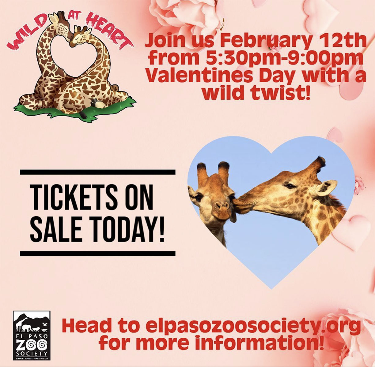 Love is in the air at the El Paso Zoo – The Prospector