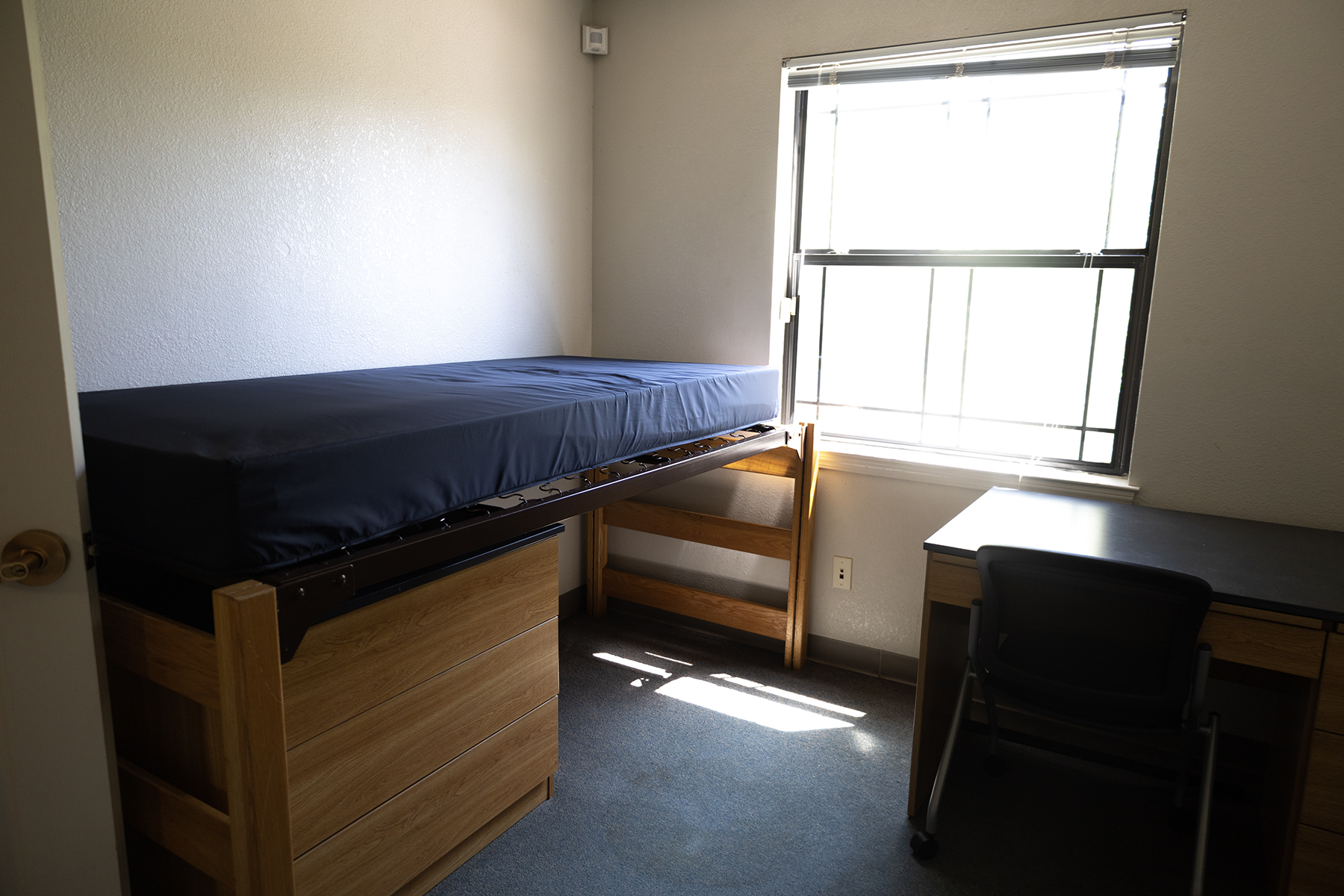 New renovations upgrade quality of student housing – The Prospector