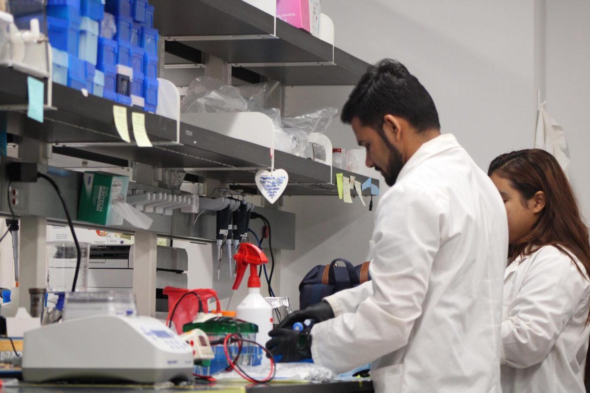 UTEP bacteria lab students carefully prepare testing equipment.