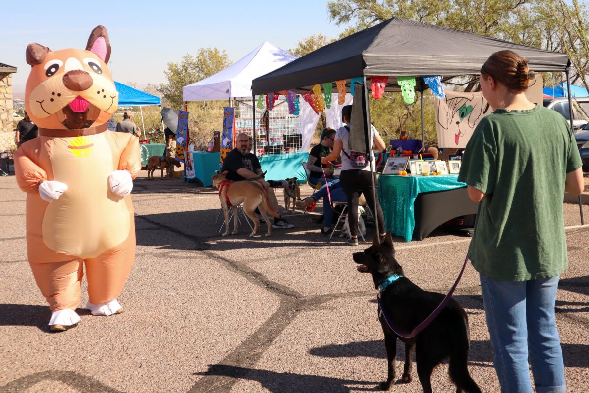 Museum director of the Museum of Archeology wore a dog costume for the “Día de los Doggies” event.